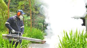 Best Mosquito Control  in Lake Zurich, IL